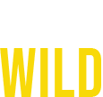 India's wild